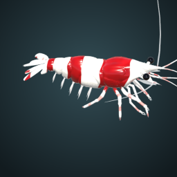 CS Tank: Crystal Shrimp app icon